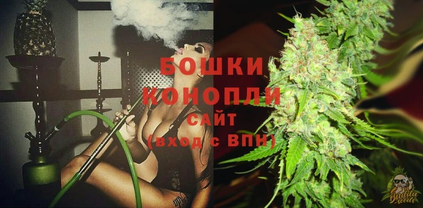 трава Шарыпово