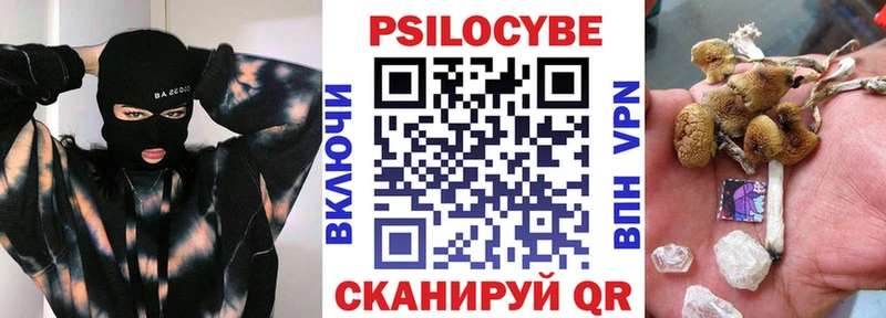 Галлюциногенные грибы Psilocybine cubensis где можно купить наркотик ссылка на мегу ONION Дубовка